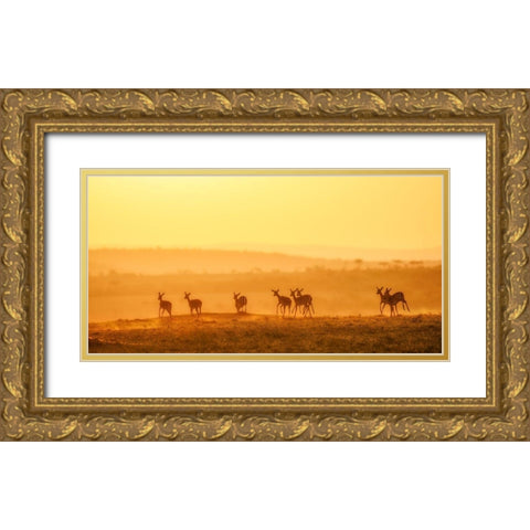Towards Sunset Gold Ornate Wood Framed Art Print with Double Matting by Fan, John