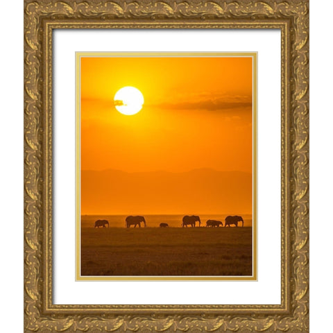 Elephants At Sunset Gold Ornate Wood Framed Art Print with Double Matting by Taylor, Ted