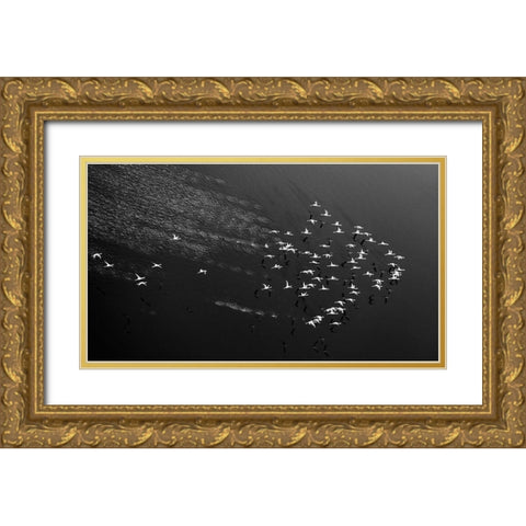 Take Off Gold Ornate Wood Framed Art Print with Double Matting by Fan, John
