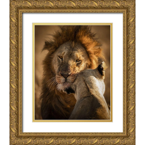 Give Me Some Love Gold Ornate Wood Framed Art Print with Double Matting by Alnomas, Faisal