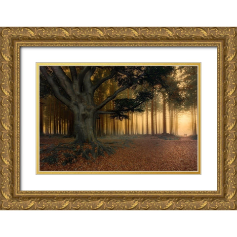 To The Light......... Gold Ornate Wood Framed Art Print with Double Matting by Haaksma, Piet