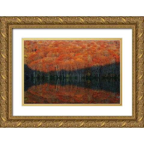 Shadow Fade Away Gold Ornate Wood Framed Art Print with Double Matting by Shibata, Sho