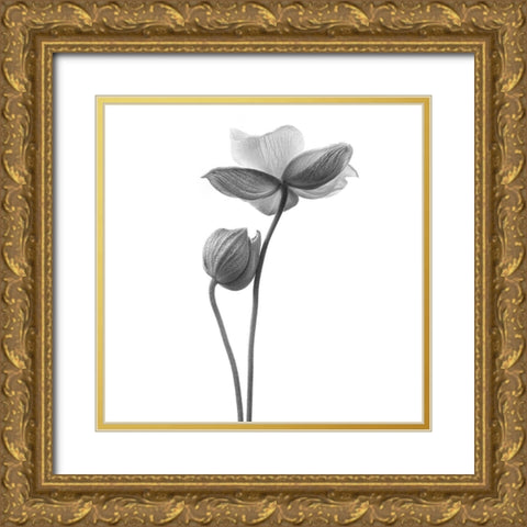 A Little Touch - Monochrome Gold Ornate Wood Framed Art Print with Double Matting by Gronkjar, Lotte