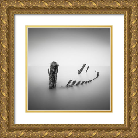 Whats Left Behind Gold Ornate Wood Framed Art Print with Double Matting by Staelens, Christophe