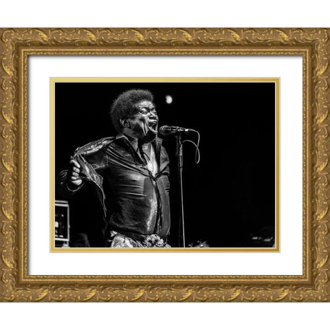 Charles  Bradley  In Memory Gold Ornate Wood Framed Art Print with Double Matting by Domont, Jois