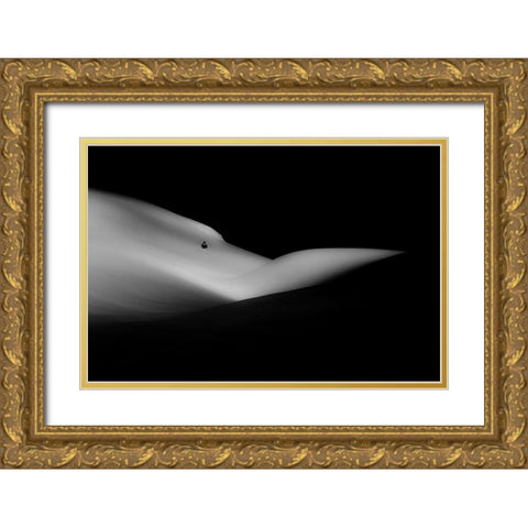 Elephant Sleeping A White Dream Gold Ornate Wood Framed Art Print with Double Matting by Javier Duro, Jose