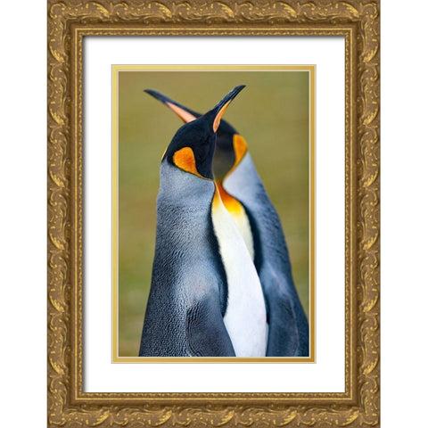 King Penguin Gold Ornate Wood Framed Art Print with Double Matting by Gil Raga, Joan