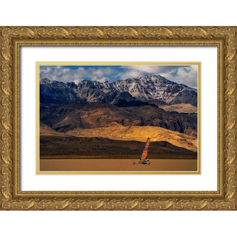 Wind Runner Gold Ornate Wood Framed Art Print with Double Matting by Jacobs, Lydia