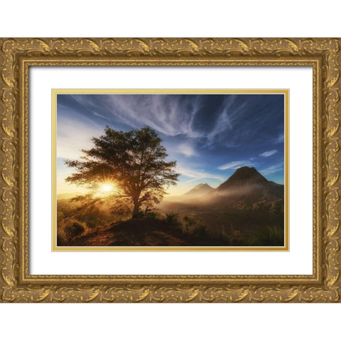 Pinggan Tree. Gold Ornate Wood Framed Art Print with Double Matting by Pablo De, Juan