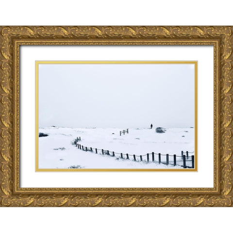 Photographer In Colorado Gold Ornate Wood Framed Art Print with Double Matting by Yang, Shawn