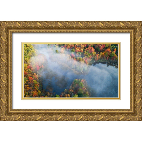 Autumn Symphony I Gold Ornate Wood Framed Art Print with Double Matting by Fan, John