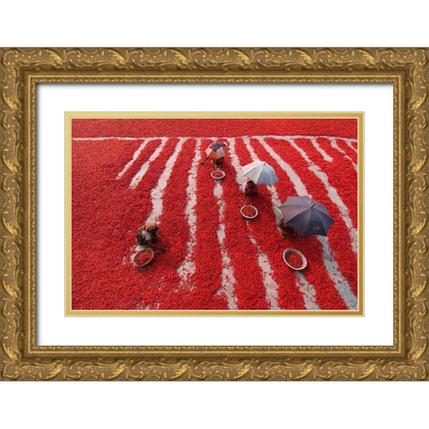 Red Chilies Pickers Gold Ornate Wood Framed Art Print with Double Matting by Khan Ronnie, Azim
