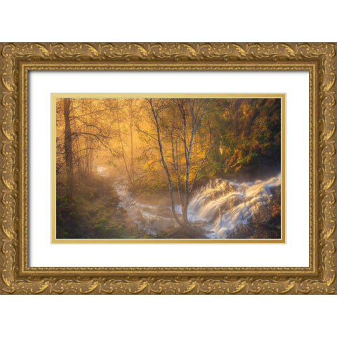 First Light Gold Ornate Wood Framed Art Print with Double Matting by Askeland, Rune