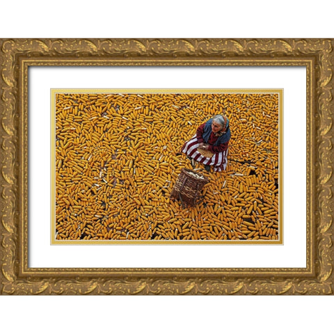 Corn Apap Gold Ornate Wood Framed Art Print with Double Matting by Zengin, Mustafa