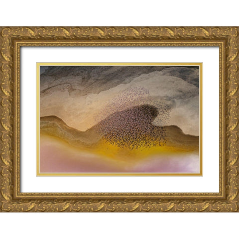 Crossing Natron Lake Gold Ornate Wood Framed Art Print with Double Matting by Chang, Phillip