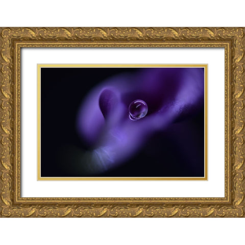 Kalas Pearl Gold Ornate Wood Framed Art Print with Double Matting by Westum, Heidi