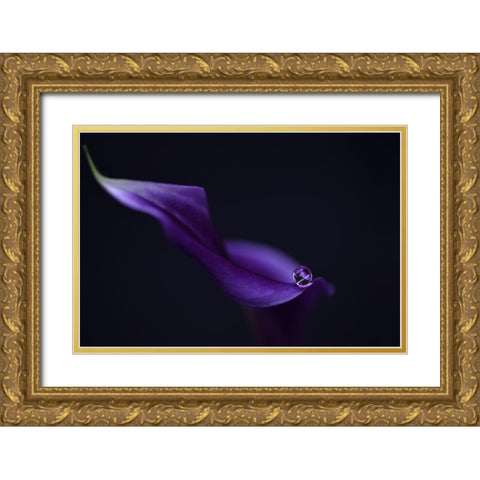 Kala`S Pearl Lll Gold Ornate Wood Framed Art Print with Double Matting by Westum, Heidi