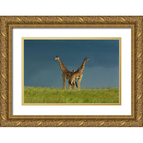 Between The Two Gold Ornate Wood Framed Art Print with Double Matting by Mei, Massimo