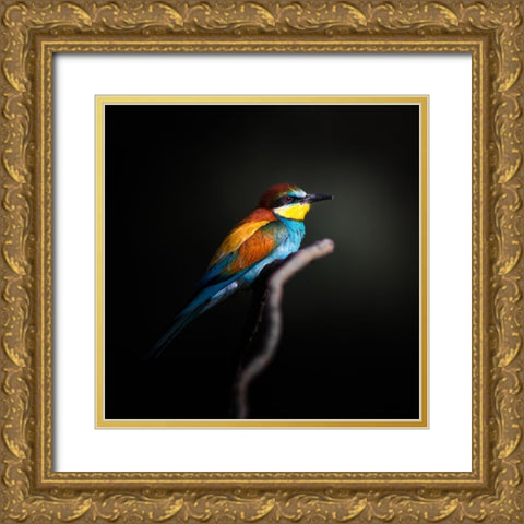 Colorful Darkly Gold Ornate Wood Framed Art Print with Double Matting by Fegari