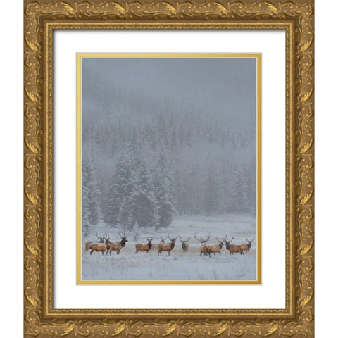 Standing In Storm Gold Ornate Wood Framed Art Print with Double Matting by Wang, Yun