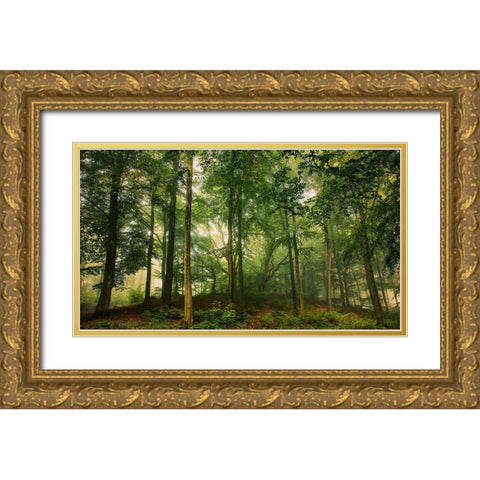 Welcome In The Forest. Gold Ornate Wood Framed Art Print with Double Matting by Londal, Leif