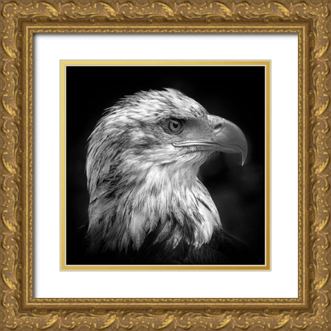 Majestic Gold Ornate Wood Framed Art Print with Double Matting by Pfeiffer, Peter