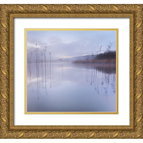 Untitled Gold Ornate Wood Framed Art Print with Double Matting by Ahern, David