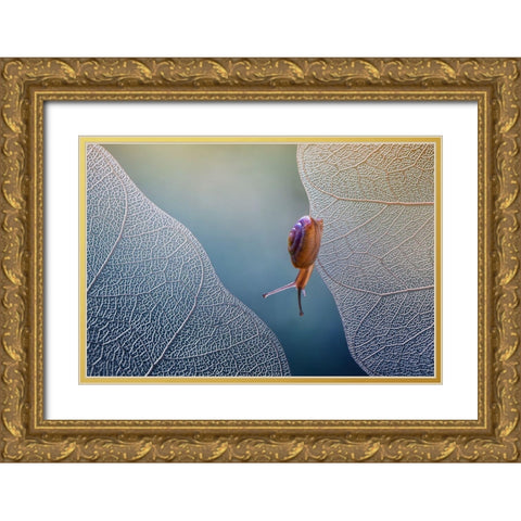 Want To Cross Gold Ornate Wood Framed Art Print with Double Matting by Baihaki, Ahmad