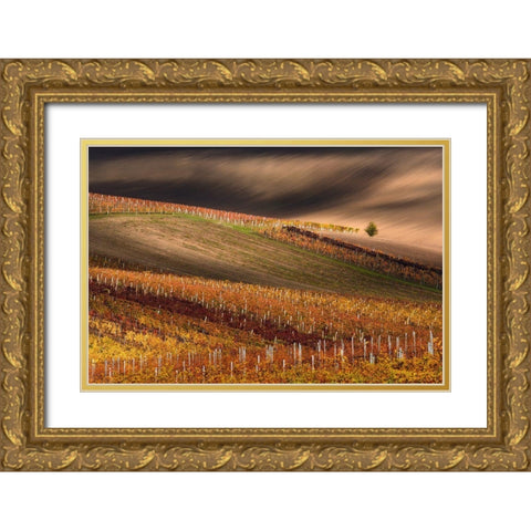Line And Vine Gold Ornate Wood Framed Art Print with Double Matting by Sokolovsky, Vlad