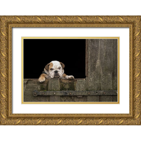 Got That Monday Feeling... Gold Ornate Wood Framed Art Print with Double Matting by van den, Gert