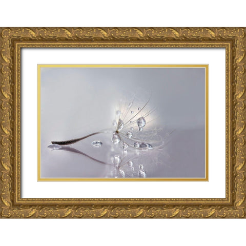 Silver Gold Ornate Wood Framed Art Print with Double Matting by Barbieri, Rina