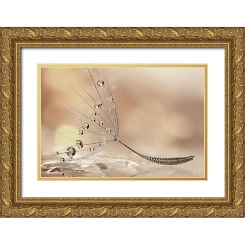 Prestige Gold Ornate Wood Framed Art Print with Double Matting by Barbieri, Rina