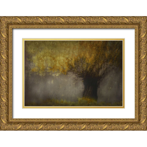 Pollard Willow Gold Ornate Wood Framed Art Print with Double Matting by Talen, Nel