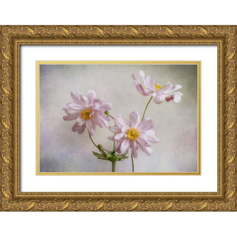 Anemones Gold Ornate Wood Framed Art Print with Double Matting by Disher, Mandy