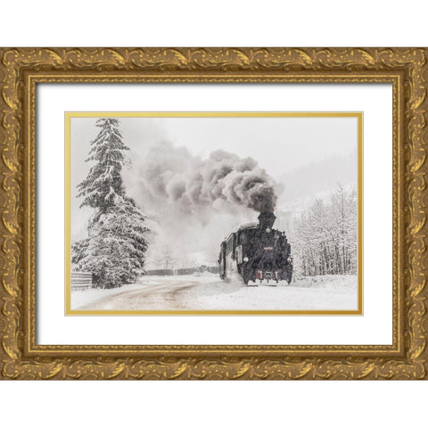 Winter Story Gold Ornate Wood Framed Art Print with Double Matting by Dorin Lucian, Sveduneac