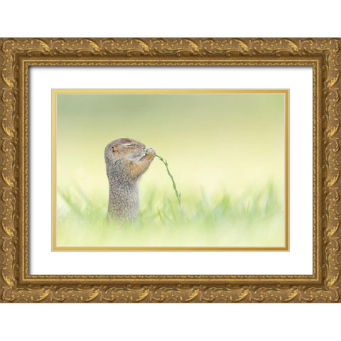 Nosing Gold Ornate Wood Framed Art Print with Double Matting by Spranz, Henrik