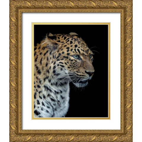 Panthere Portrait Version 2.0 Gold Ornate Wood Framed Art Print with Double Matting by Lothare Dambreville, Laurent