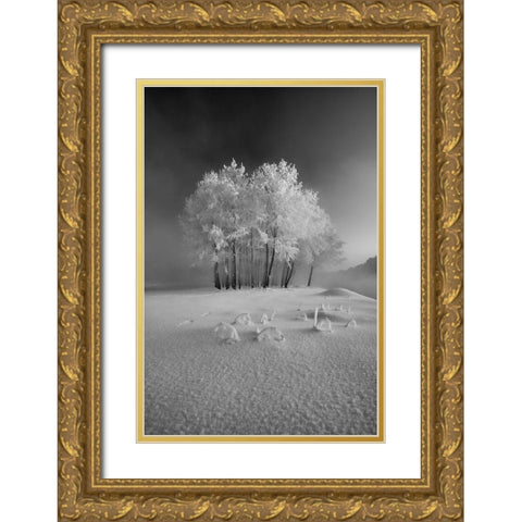 The First Snow Gold Ornate Wood Framed Art Print with Double Matting by Mierzejewski, Krzysztof