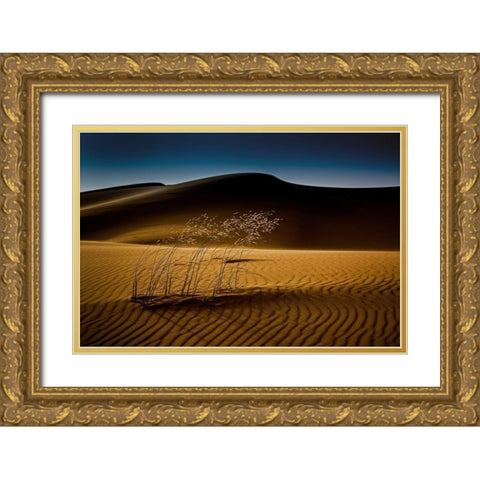 Seedasand Gold Ornate Wood Framed Art Print with Double Matting by Inderst, Rainer