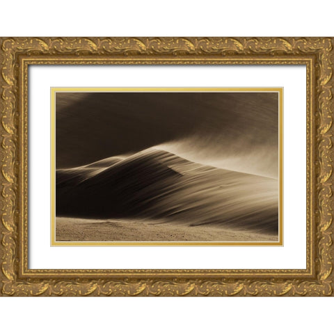 East Wind In The Namib Desert Gold Ornate Wood Framed Art Print with Double Matting by Ivanoff-Erb, Xenia