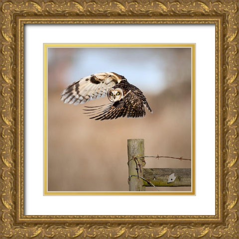 I See You! Gold Ornate Wood Framed Art Print with Double Matting by Wong, Fion