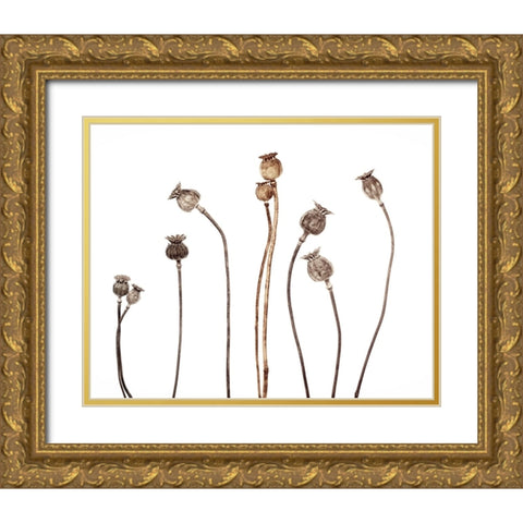 Poppies Gold Ornate Wood Framed Art Print with Double Matting by Gronkjar, Lotte