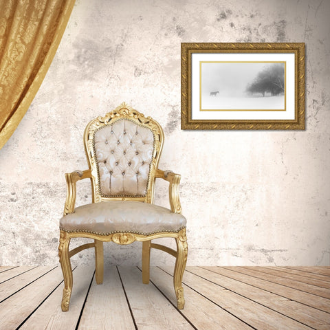Lone Horse Gold Ornate Wood Framed Art Print with Double Matting by Eliash, Tomer