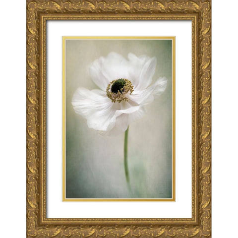 Single White Gold Ornate Wood Framed Art Print with Double Matting by Parker, Jacky