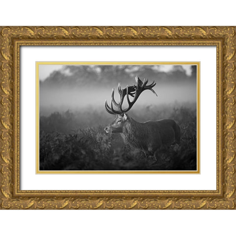 Sunny Morning Gold Ornate Wood Framed Art Print with Double Matting by Fabrowski, Robert