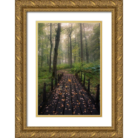 Misty Morning Gold Ornate Wood Framed Art Print with Double Matting by Lindsten, Christian