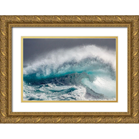 Mighty Water Gold Ornate Wood Framed Art Print with Double Matting by Degryse, Michelle