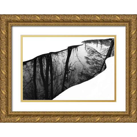 Riverside Gold Ornate Wood Framed Art Print with Double Matting by Westling, Leif