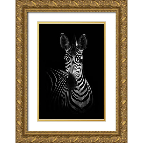The Zebra Gold Ornate Wood Framed Art Print with Double Matting by WildPhotoArt