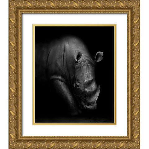 Rhino Gold Ornate Wood Framed Art Print with Double Matting by Wildphotoart